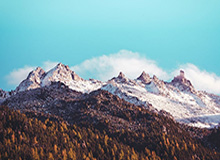 华体会体育官网：开启你的体育娱乐新纪元